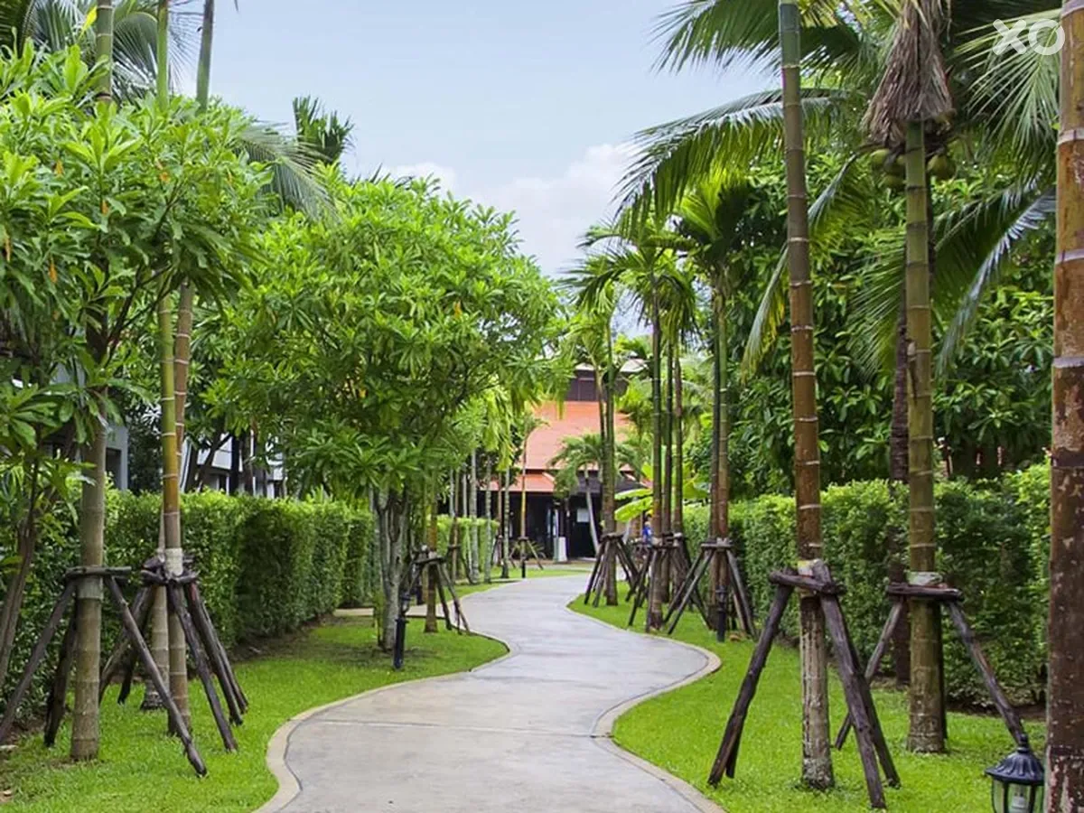 D Varee Mai Khao Beach