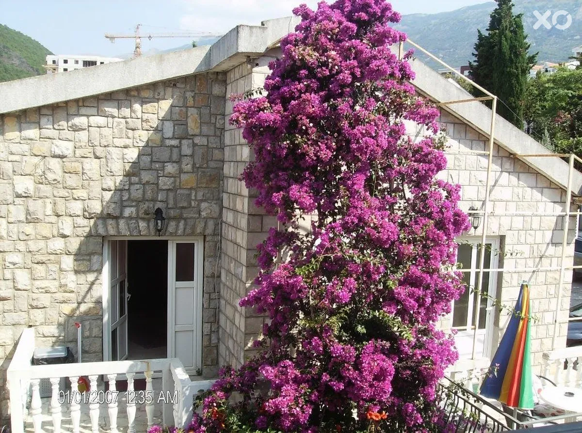 Djordjevic Apartments