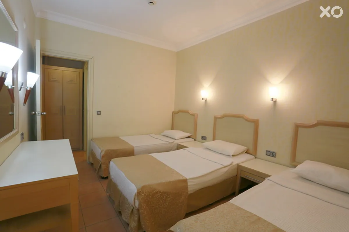 Alenz Suite