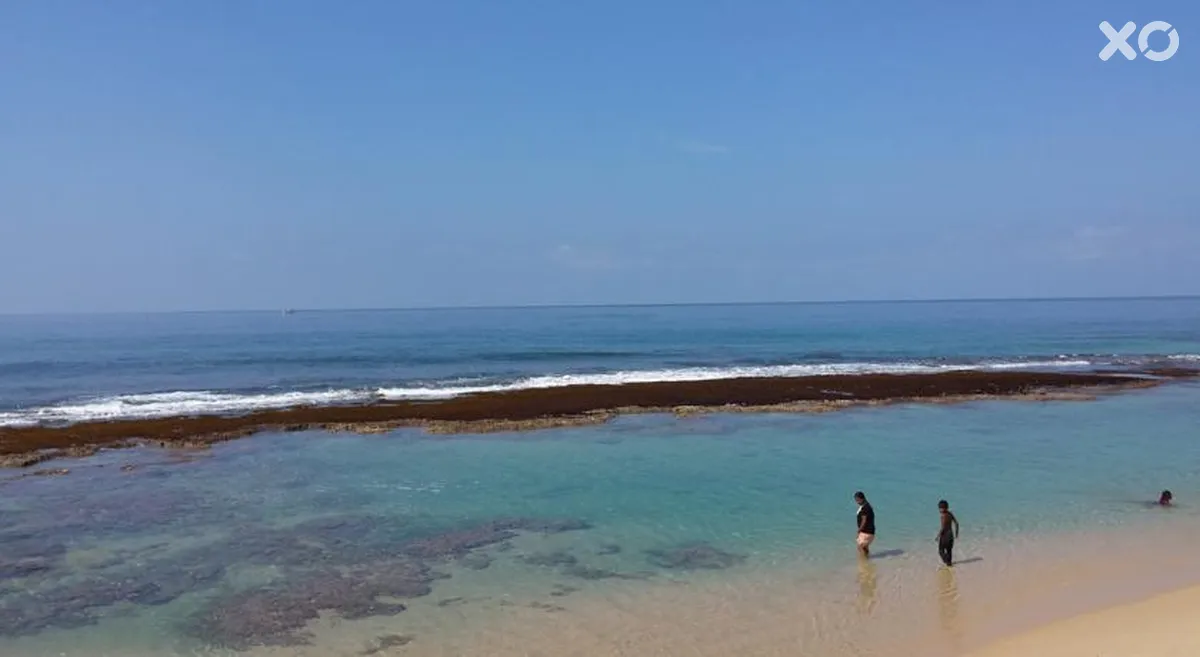Cool Beach Hotel