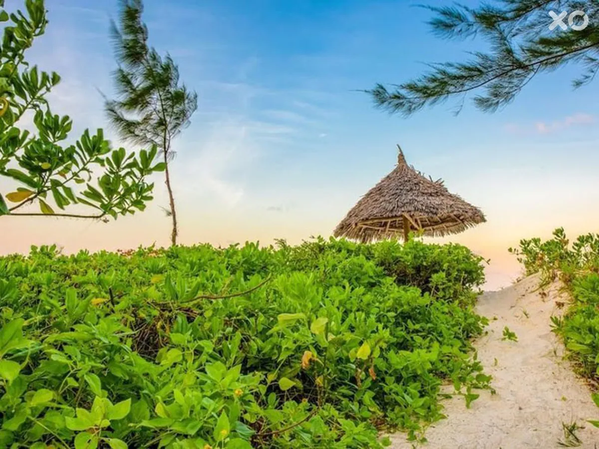 Hakuna Majiwe Beach Lodge Zanzibar