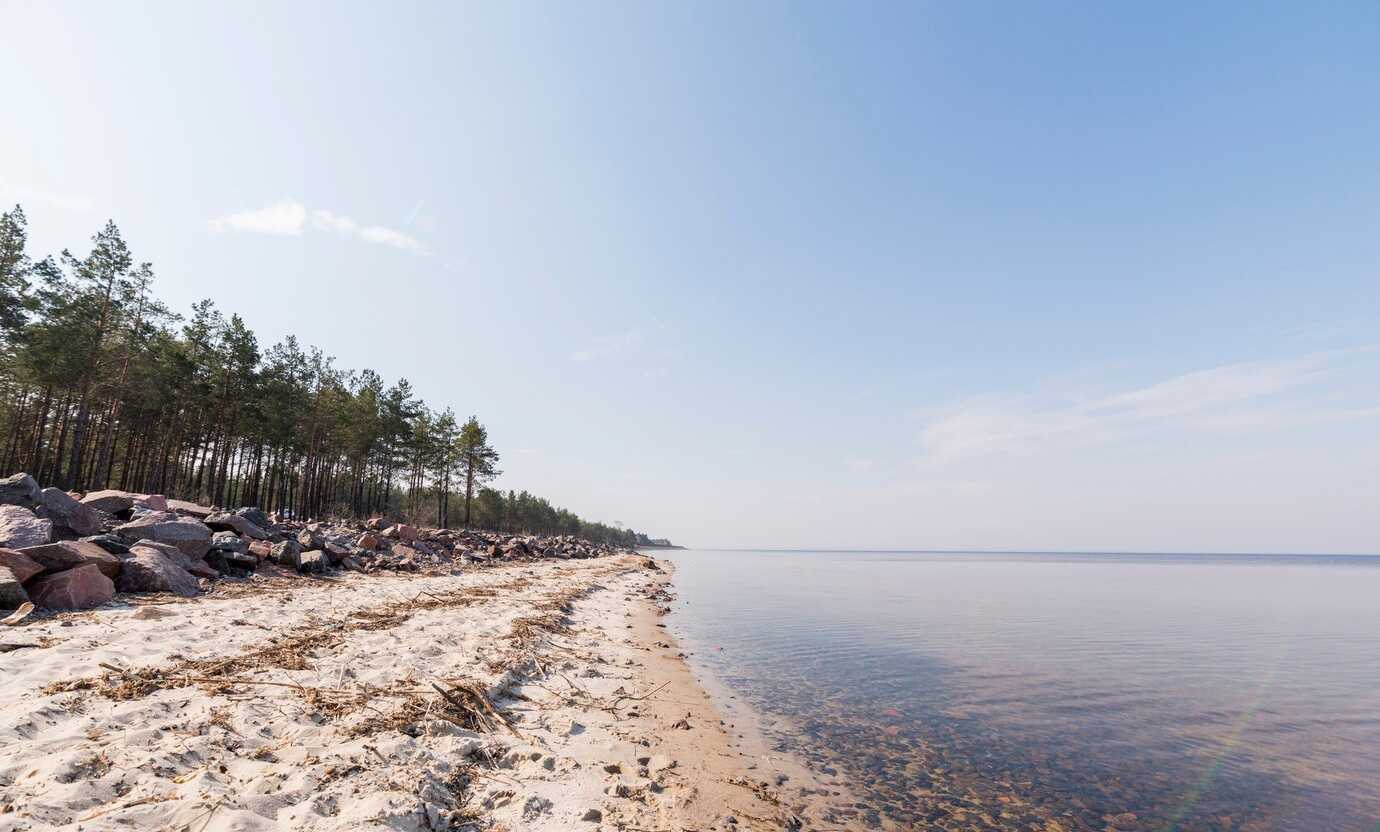 Круизы для ценителей дикой природы: сафари на море