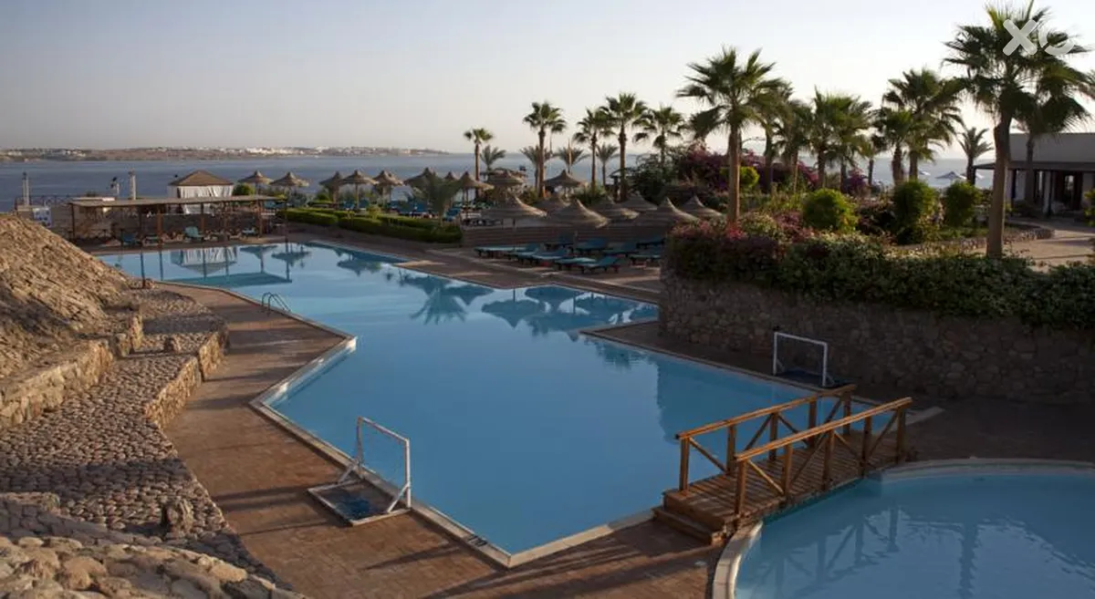 Club Reef
