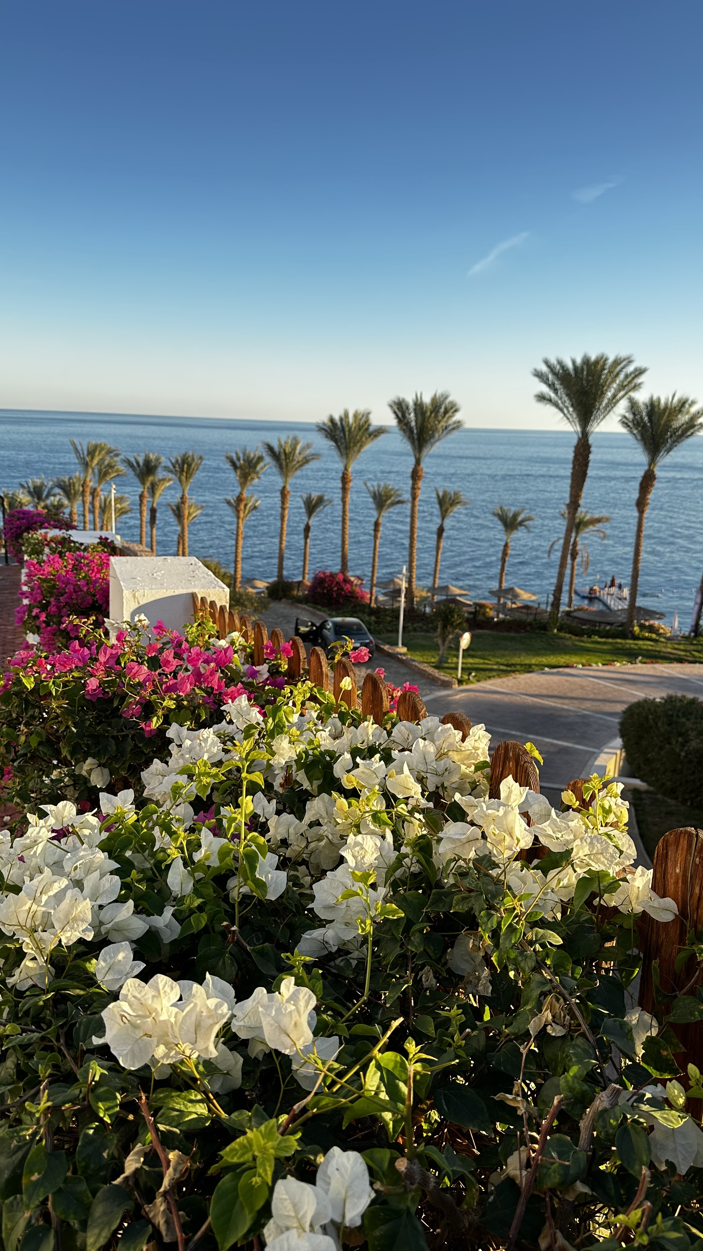 Invidia Coral Beach Tiran 5*(ex.Coral Beach Resort Tiran)