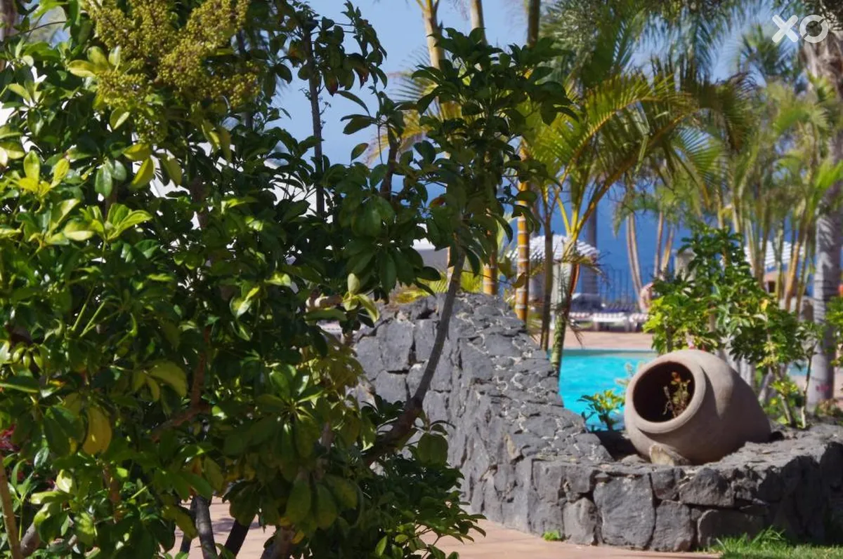 Playa de los Roques Apartments