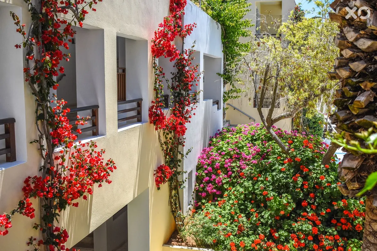 Creta Royal Hotel