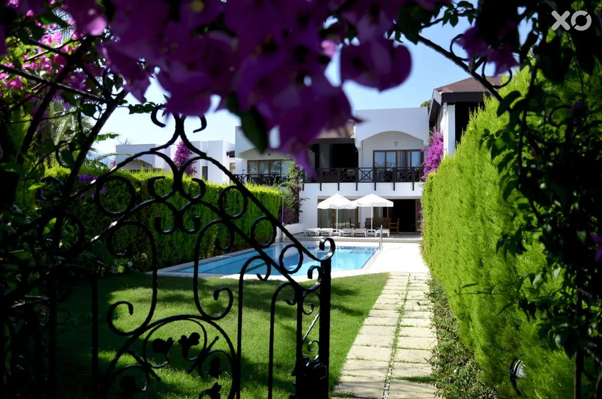 Emelda Sun Club