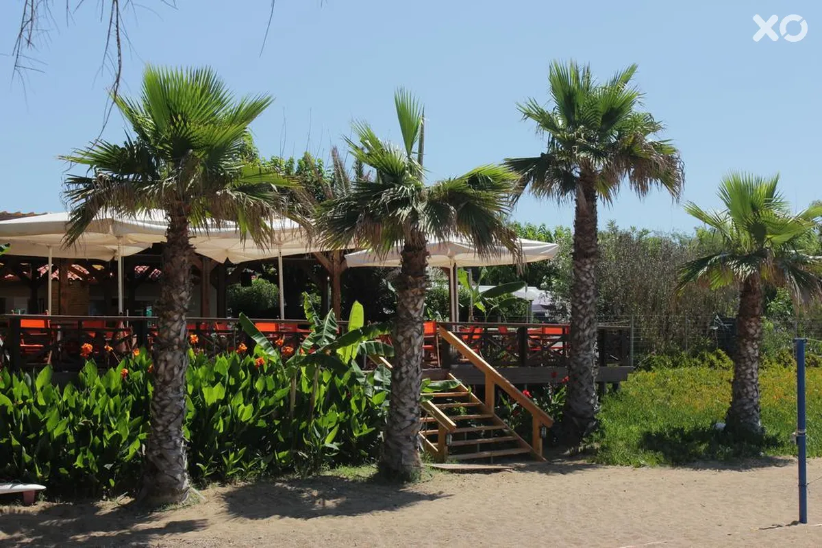 Ionion Beach Apartment Hotel