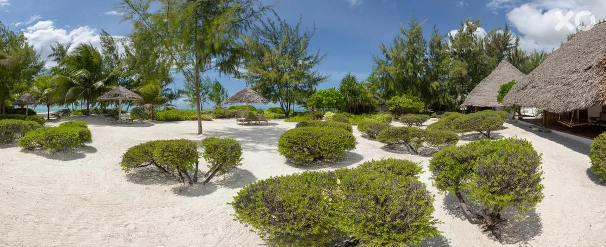 Hakuna Majiwe Beach Lodge Zanzibar