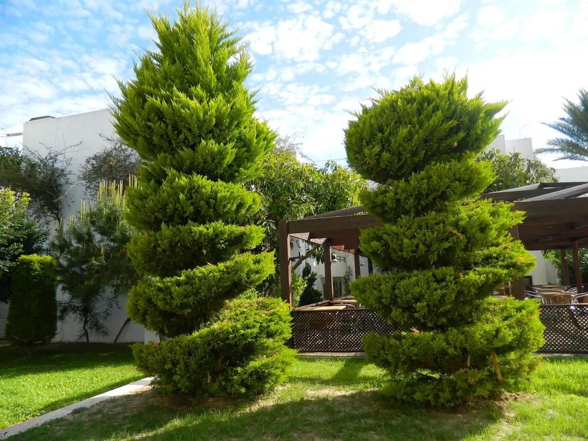 Yelken Mandalinci SPA & Wellness Hotel