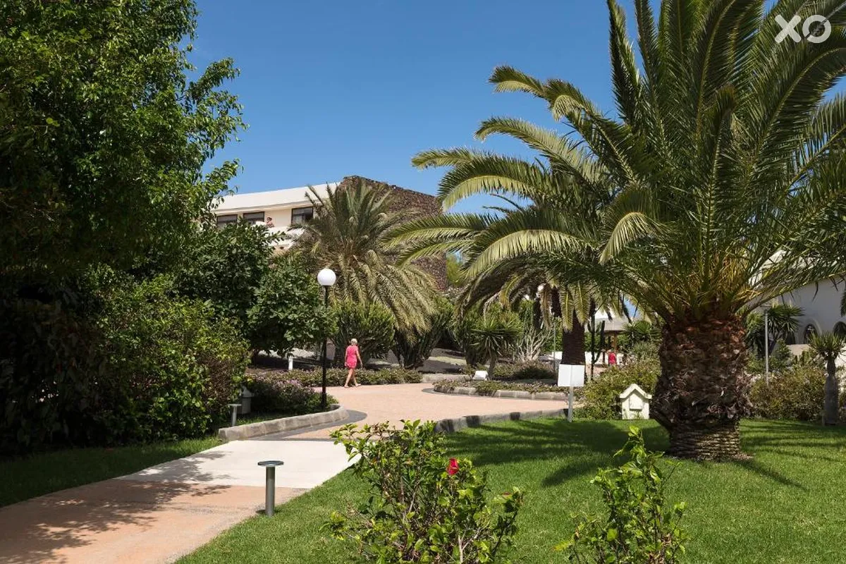 Los Zocos Impressive