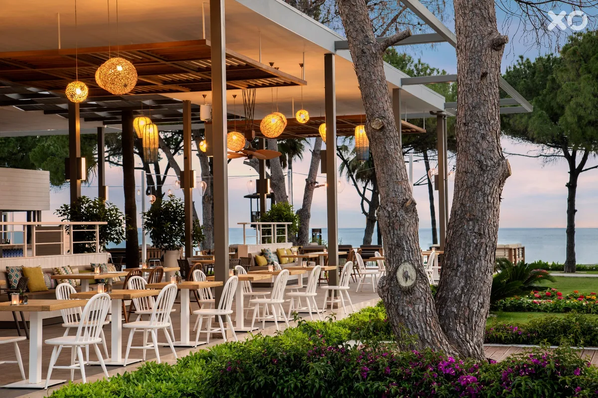 Acanthus Cennet Barut Collection