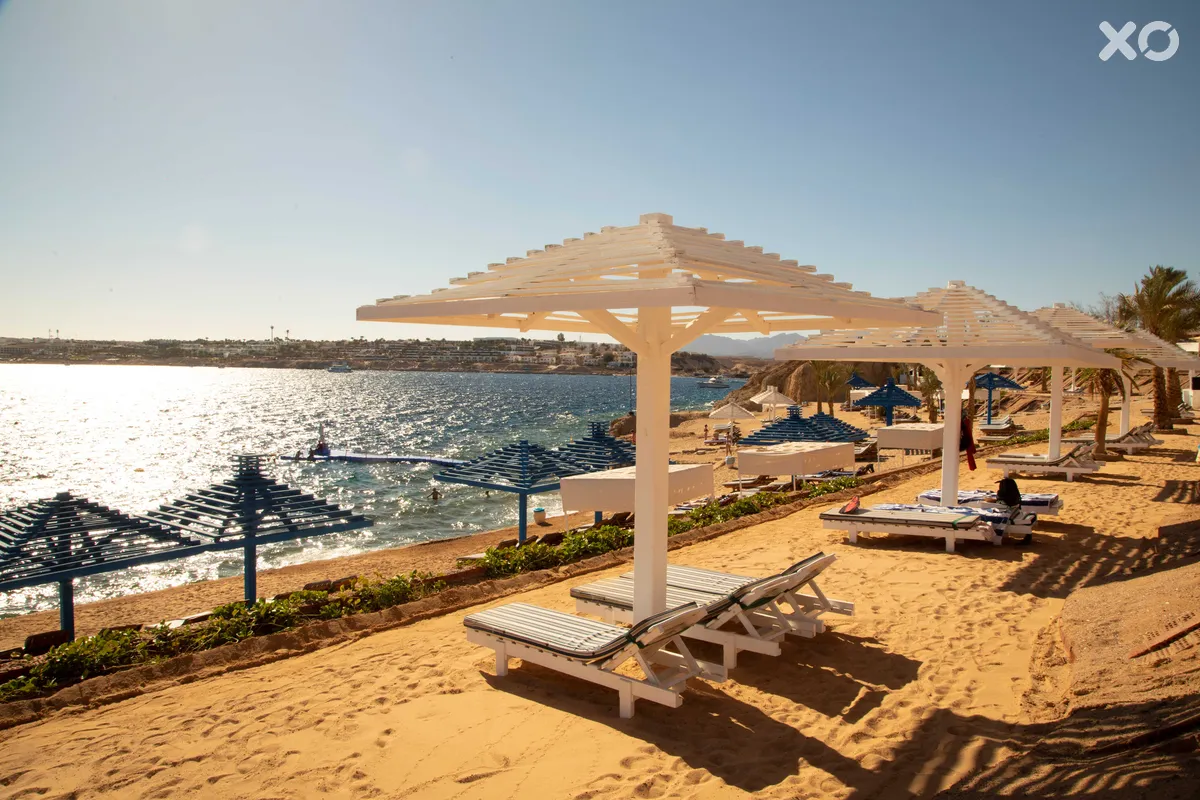 Grand Oasis Resort