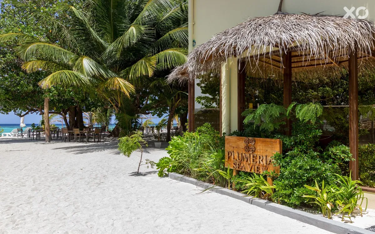 Plumeria Boutique