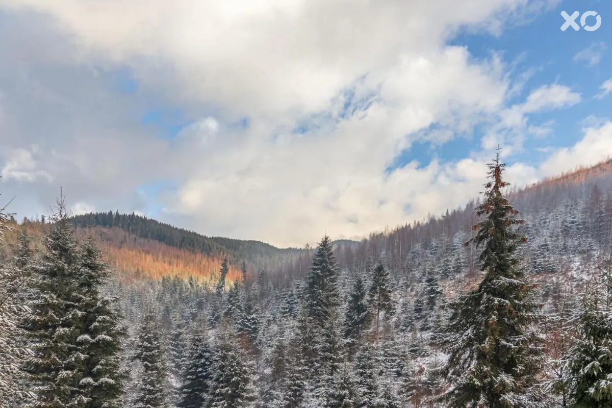 Konopka Forest Home & Spa