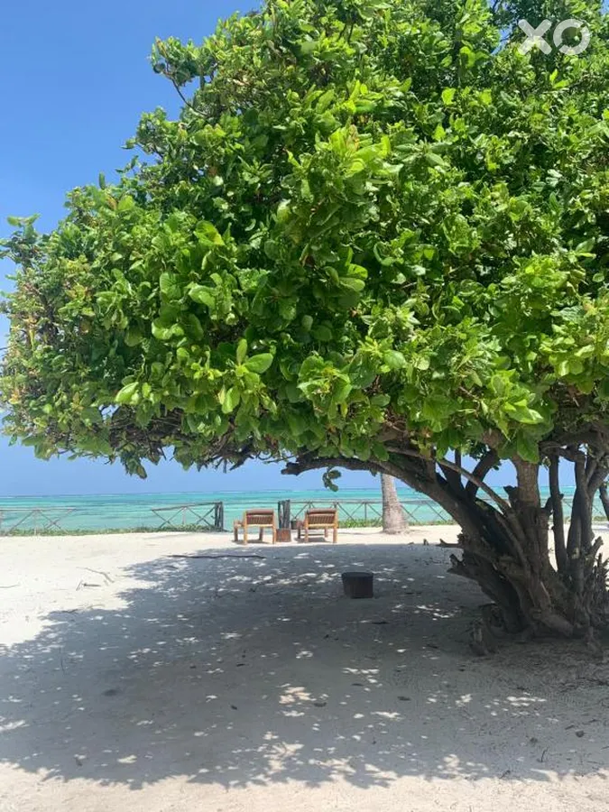 VR Club Paje Palms Beach Resort