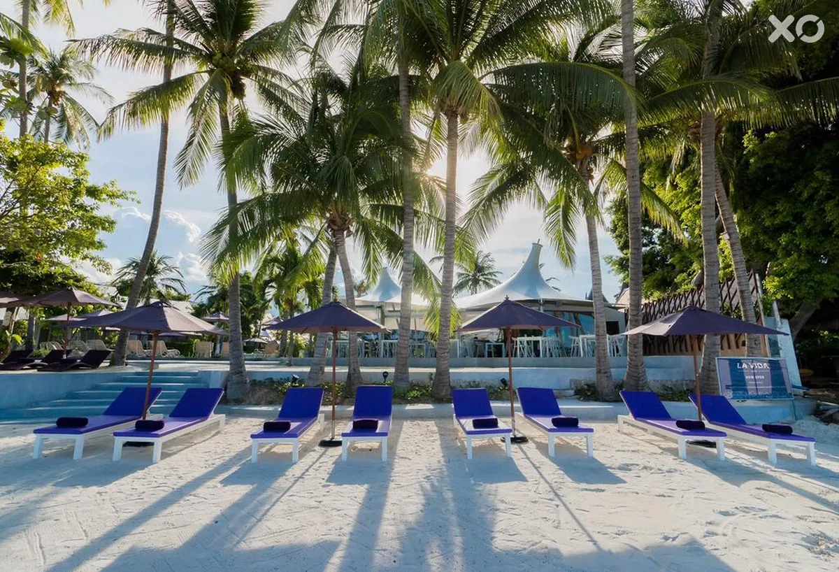 La Vida Samui