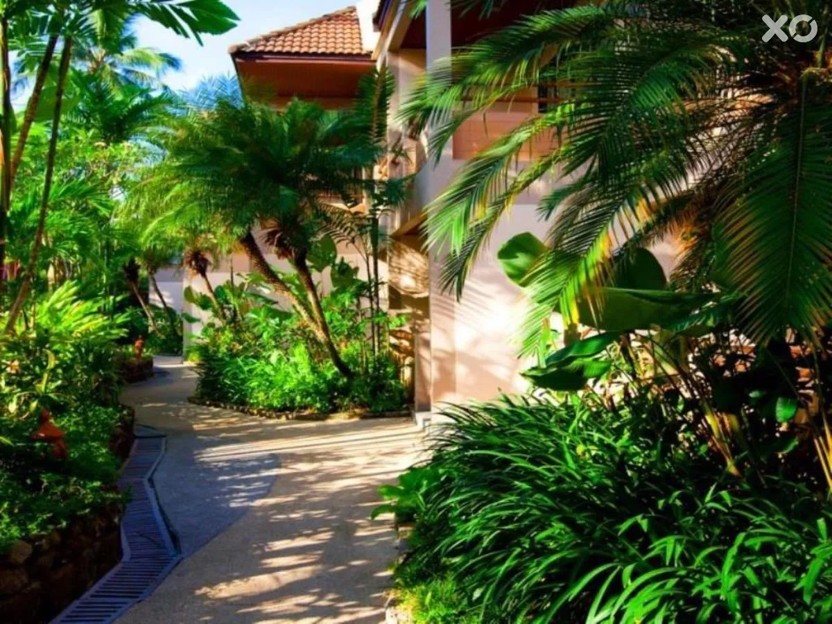Coconut Village Resort