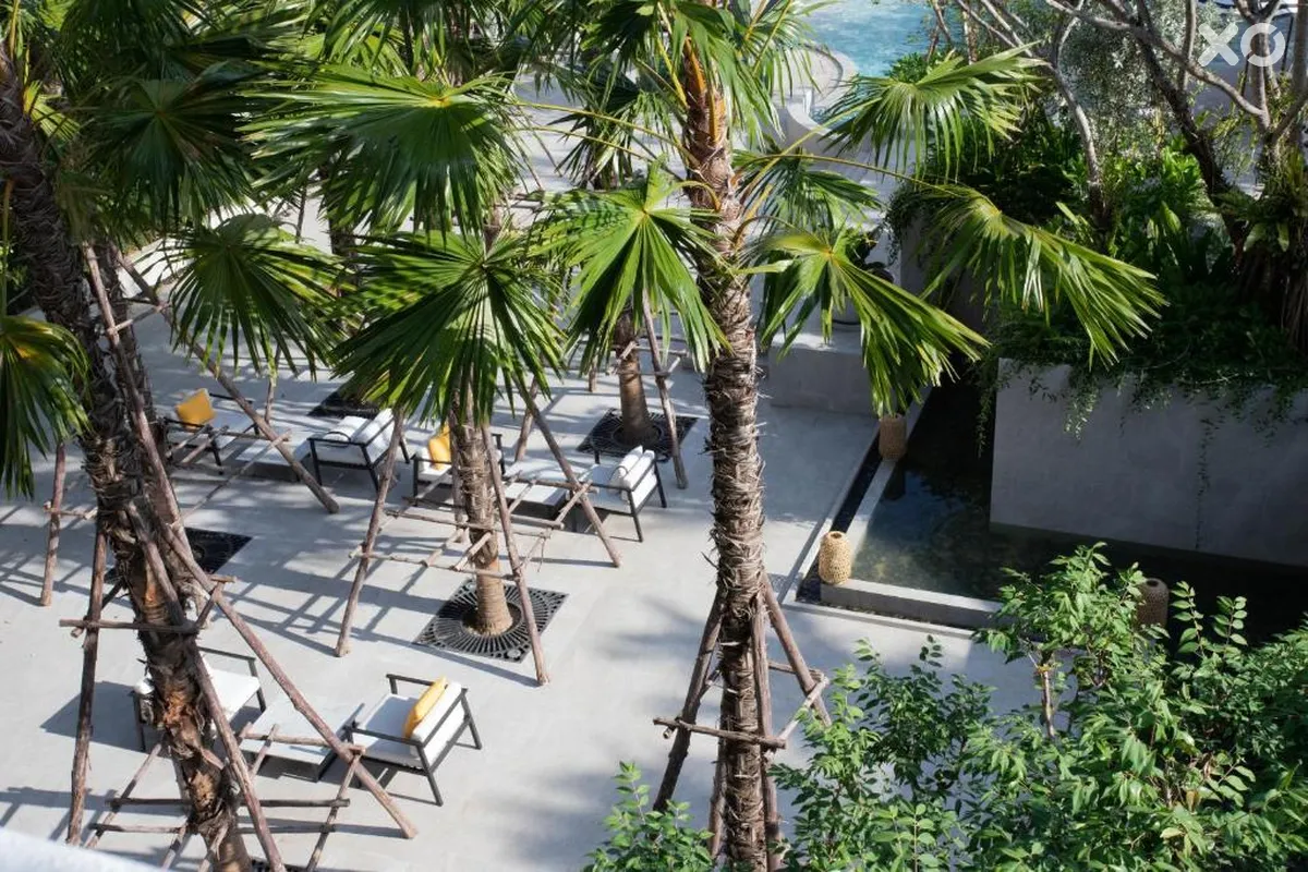 The Royal Paradise Hotel & Spa