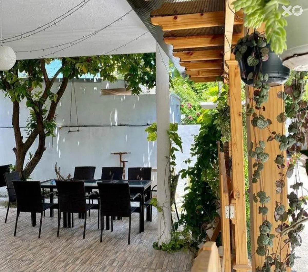 Alaika Maafushi