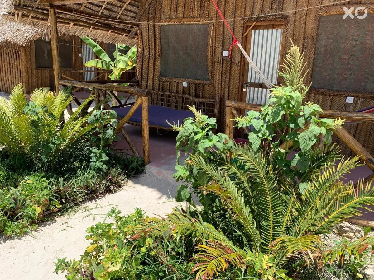 New Jambo Bungalows