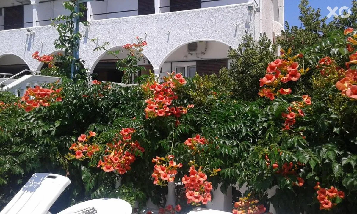 Gouvia Hotel