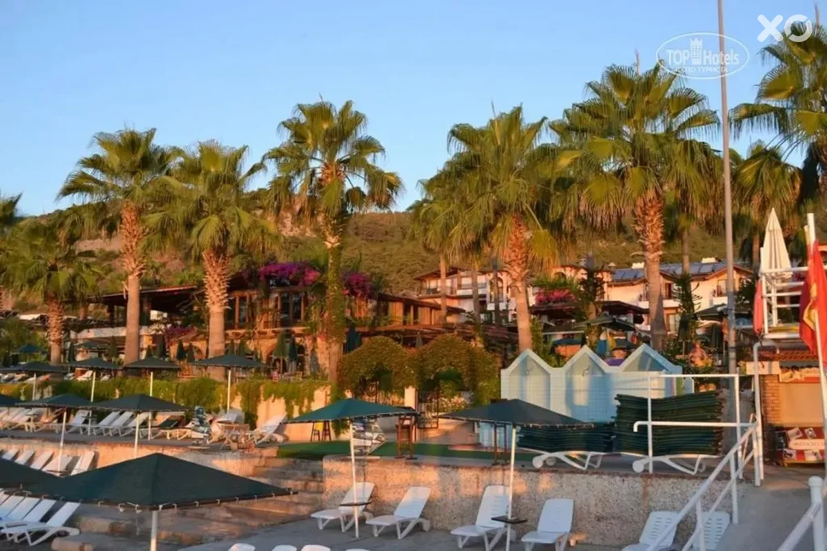 Seagull Hotel