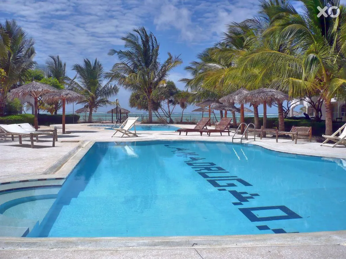 Nest Style Zanzibar